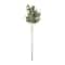 Eucalyptus Stem by Ashland®